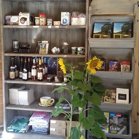 Les Tournesols Camping Sillé-le-Guillaume