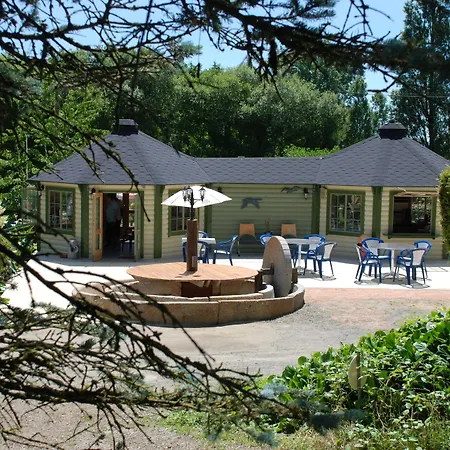 Les Tournesols Sille-le-Guillaume