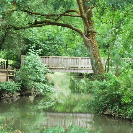 Les Tournesols Sille-le-Guillaume