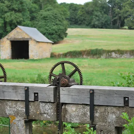 Les Tournesols Sille-le-Guillaume