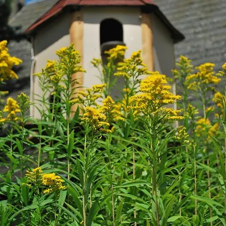 Campsite Les Tournesols 3*