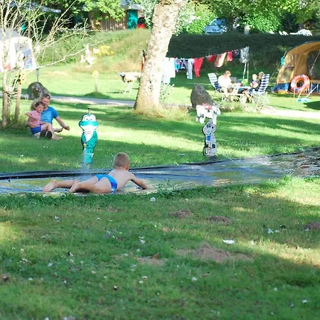 Les Tournesols Sille-le-Guillaume