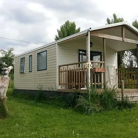 Les Tournesols Sille-le-Guillaume