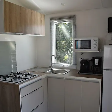 Les Tournesols Sille-le-Guillaume