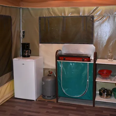 Les Tournesols Sille-le-Guillaume